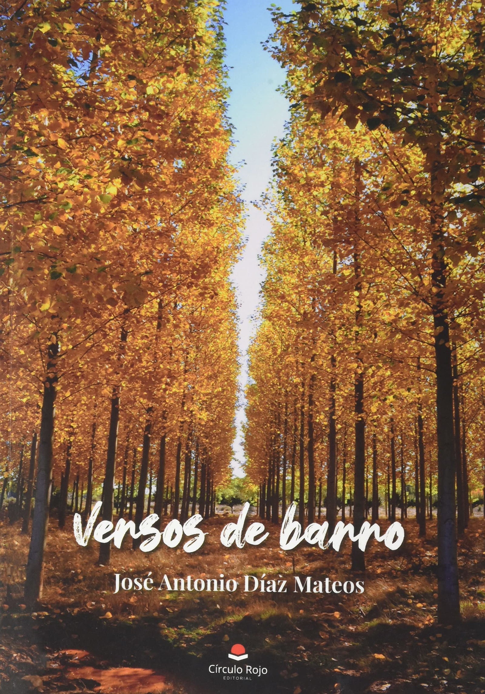 Versos de barro (SIN COLECCION)