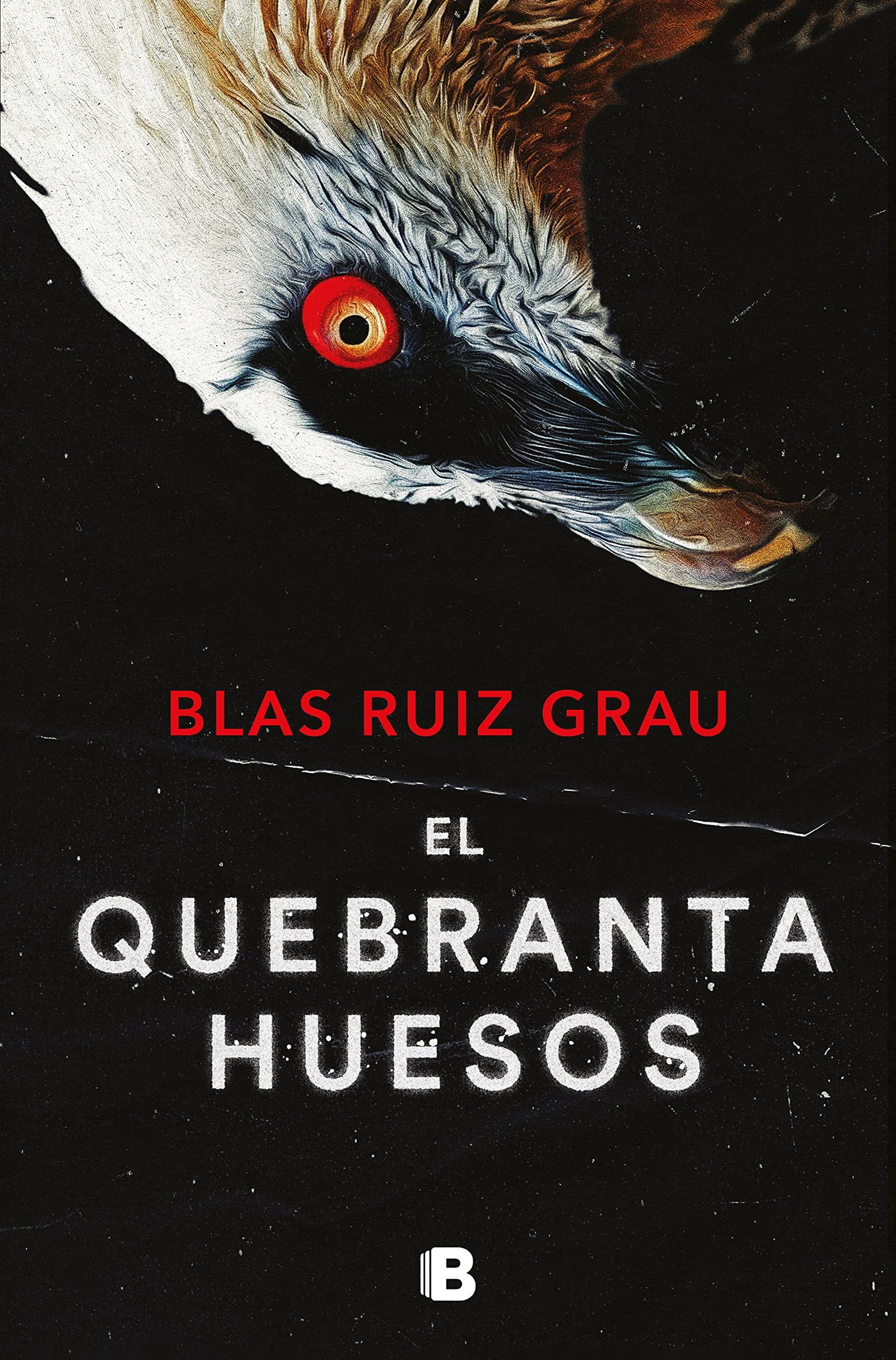 El quebrantahuesos (Nicolás Valdés 4) (La Trama)