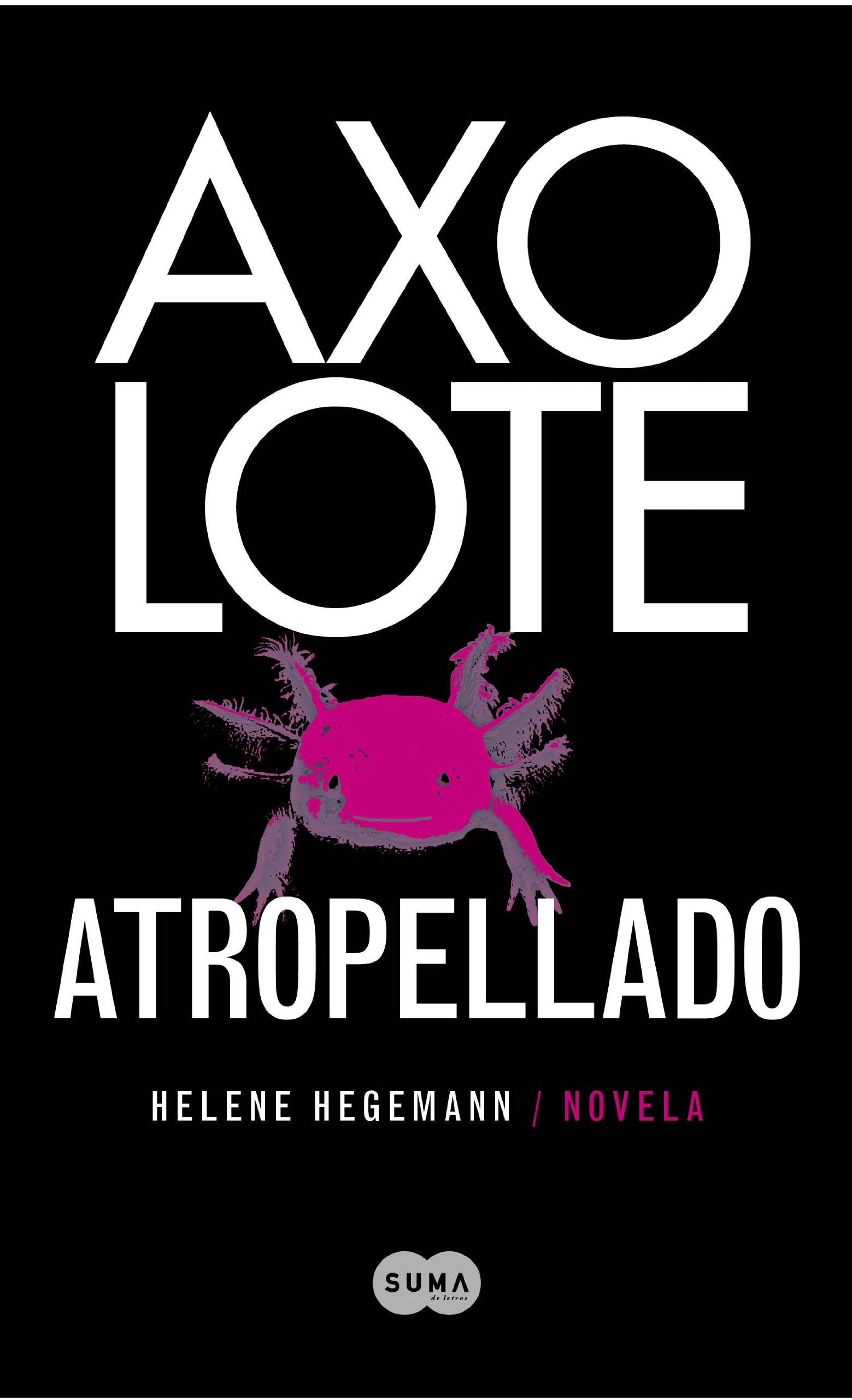 Axolote atropellado (SUMA)