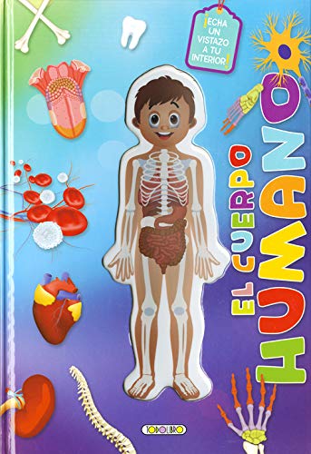 El cuerpo humano por dentro