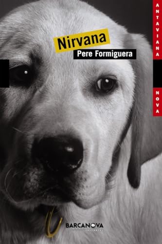 Nirvana (Llibres infantils i juvenils - Antaviana - Antaviana Nova)