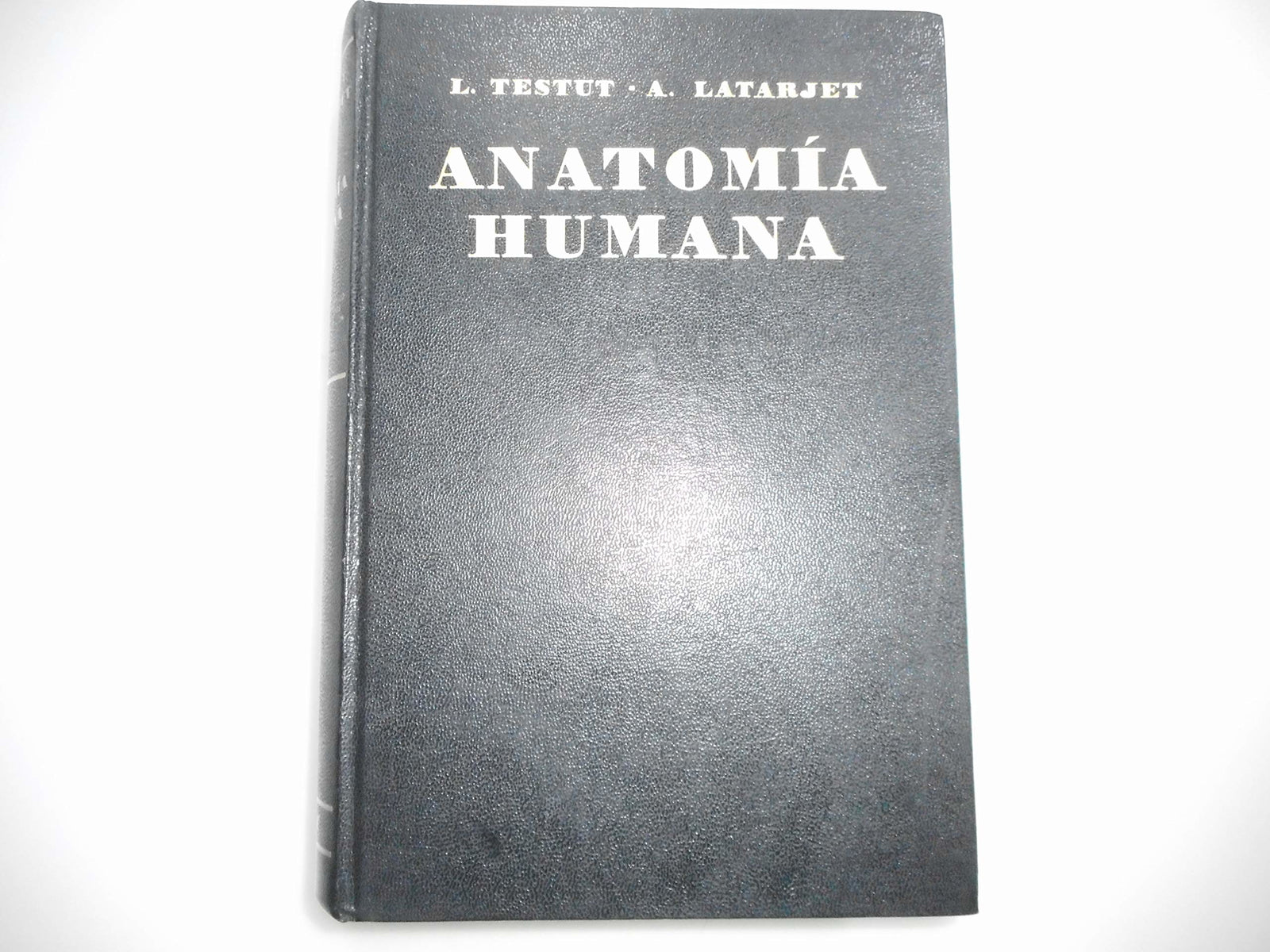 Tratado de anatomia humana; t.3