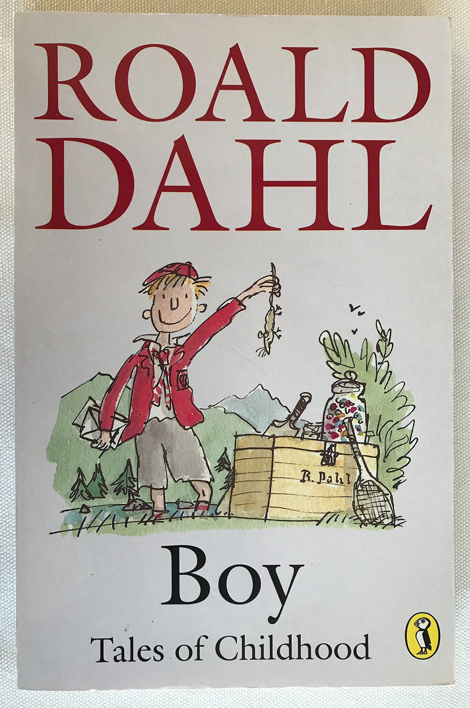 Boy