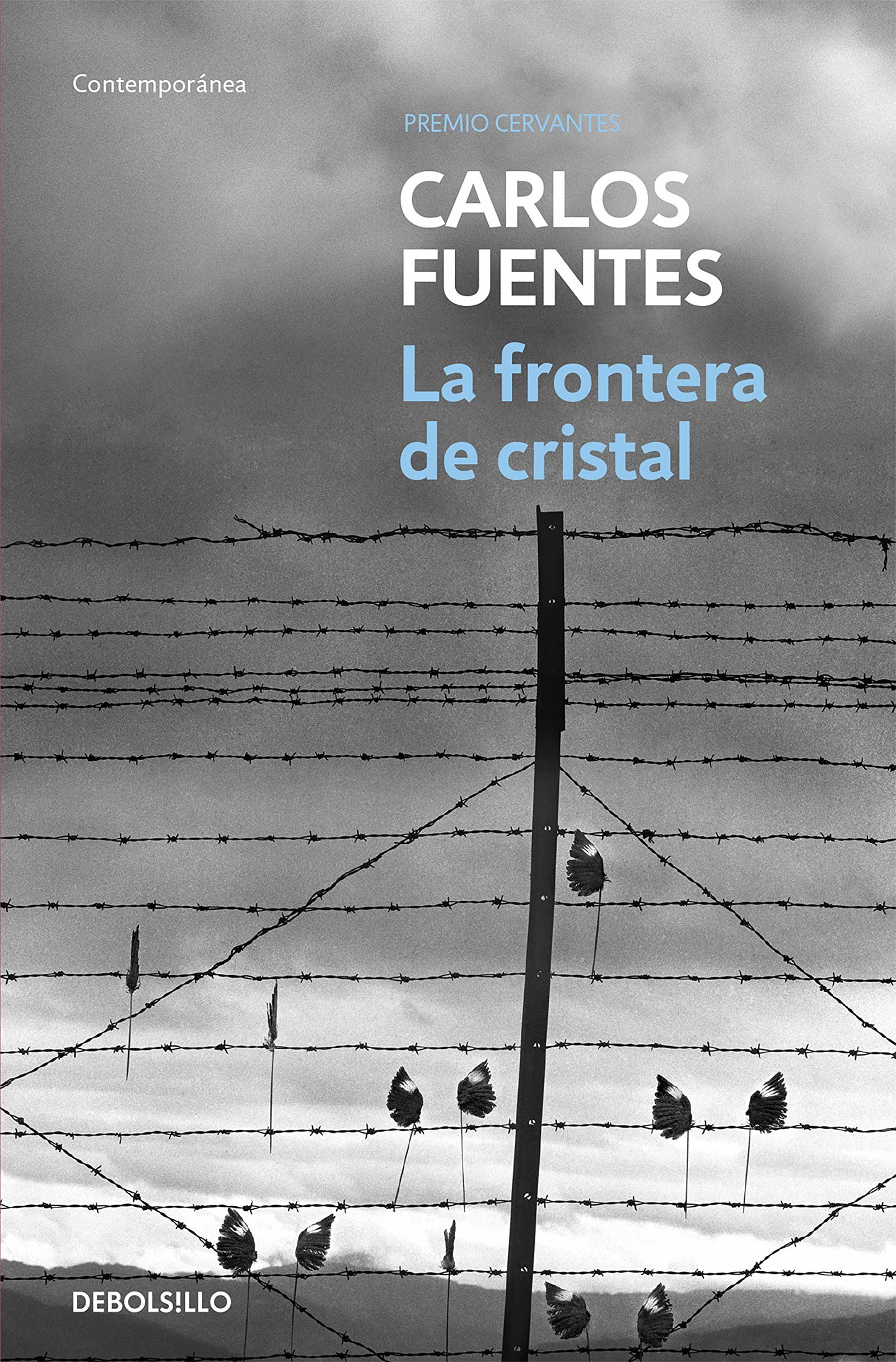 La frontera de cristal (Contemporánea)