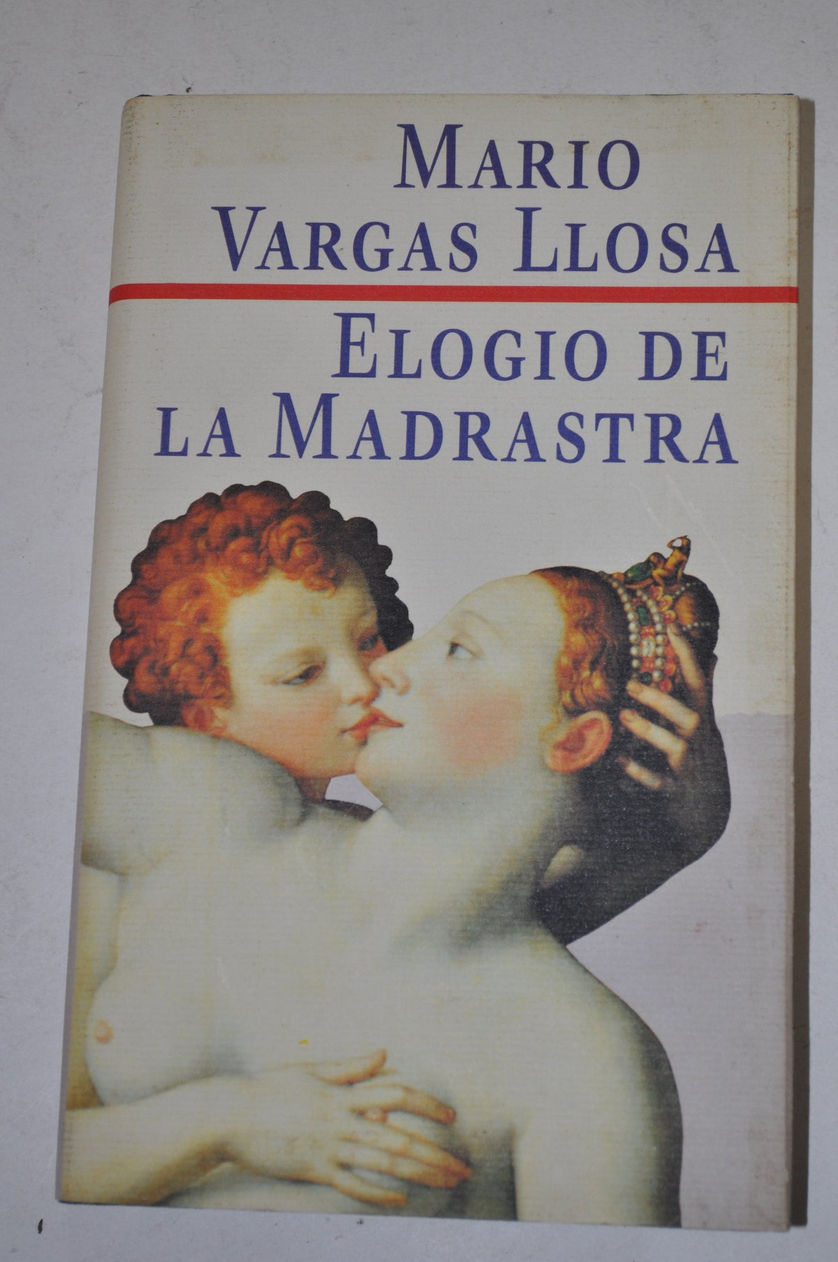 Elogio a la madrastra