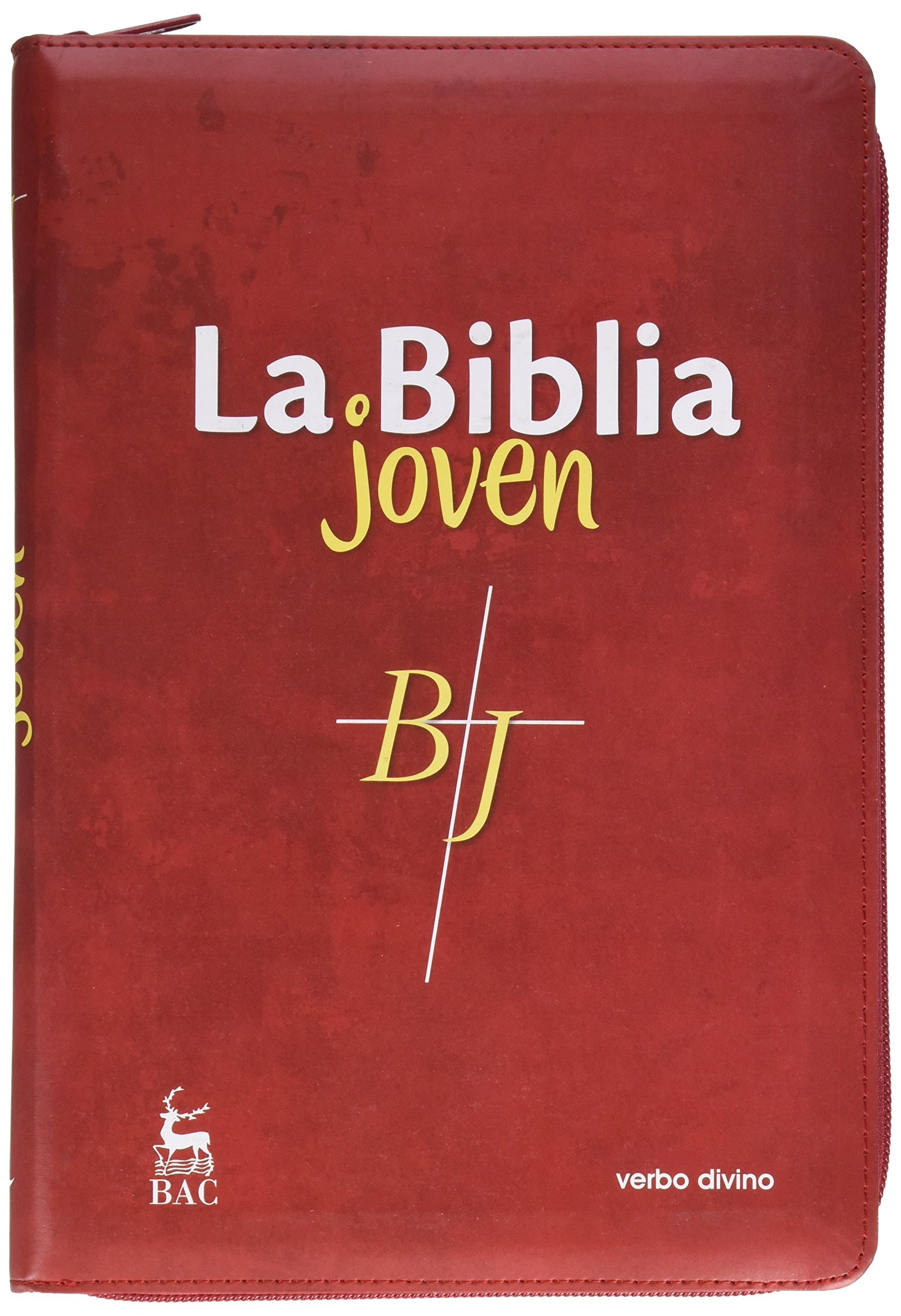La Biblia joven