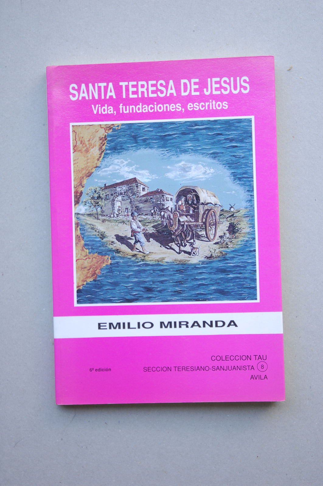 Santa Teresa de Jesús : vida, fundaciones , escritos