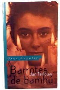 Barrotes de bambu (Gran Angular)
