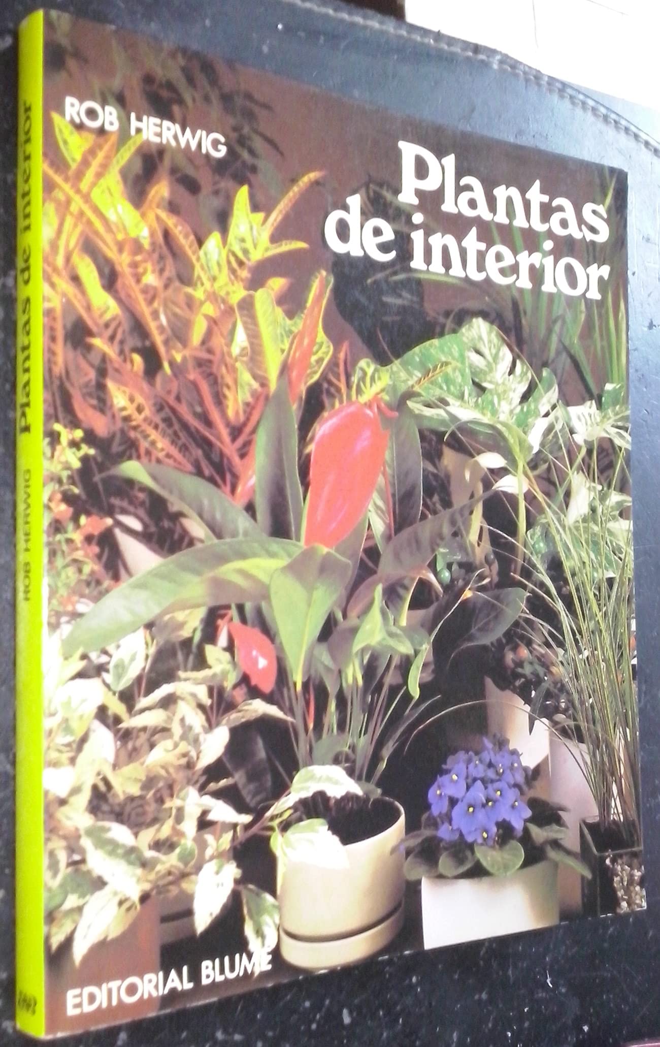 PLANTAS INTERIOR HERWIG (LIBROS PRACTICOS)
