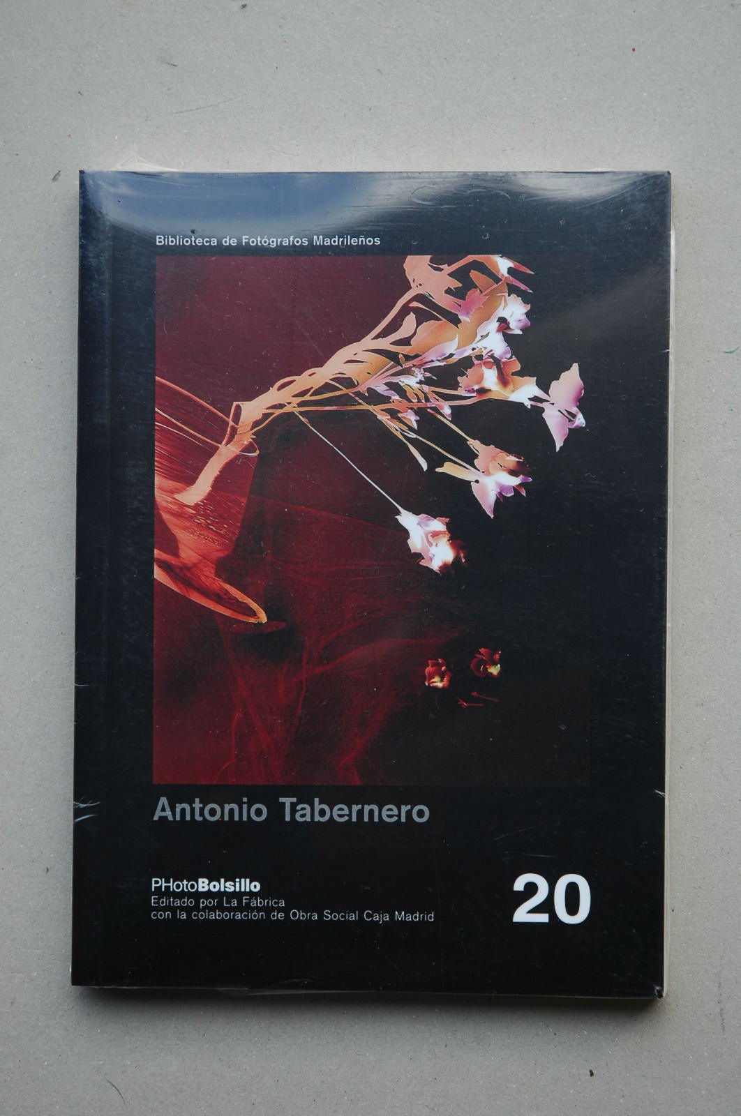 Antonio Tabernero : ventanas abiertas