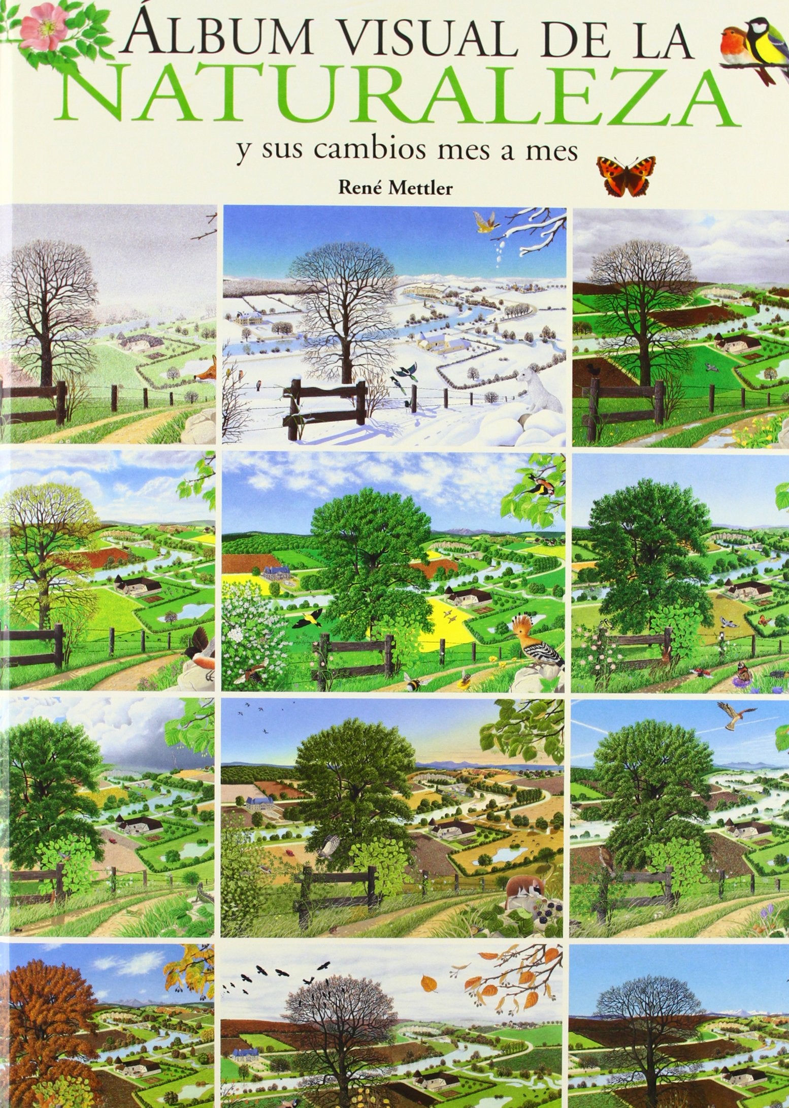 Álbum visual de la Naturaleza: y sus cambios mes a mes (Castellano - Bruño - Albumes - Albumes Visuales)