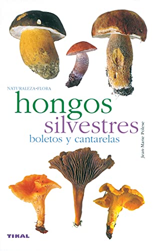 Hongos Silvestres(Naturaleza-Flora)
