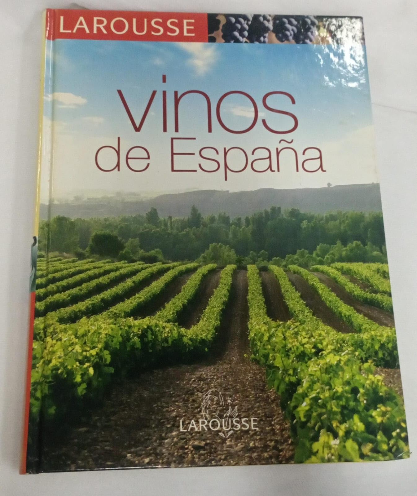 Los Vinos de España (Larousse - Libros Ilustrados/ Prácticos - Gastronomía - Larousse De...)