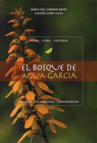 El Bosque de Aguagarcia