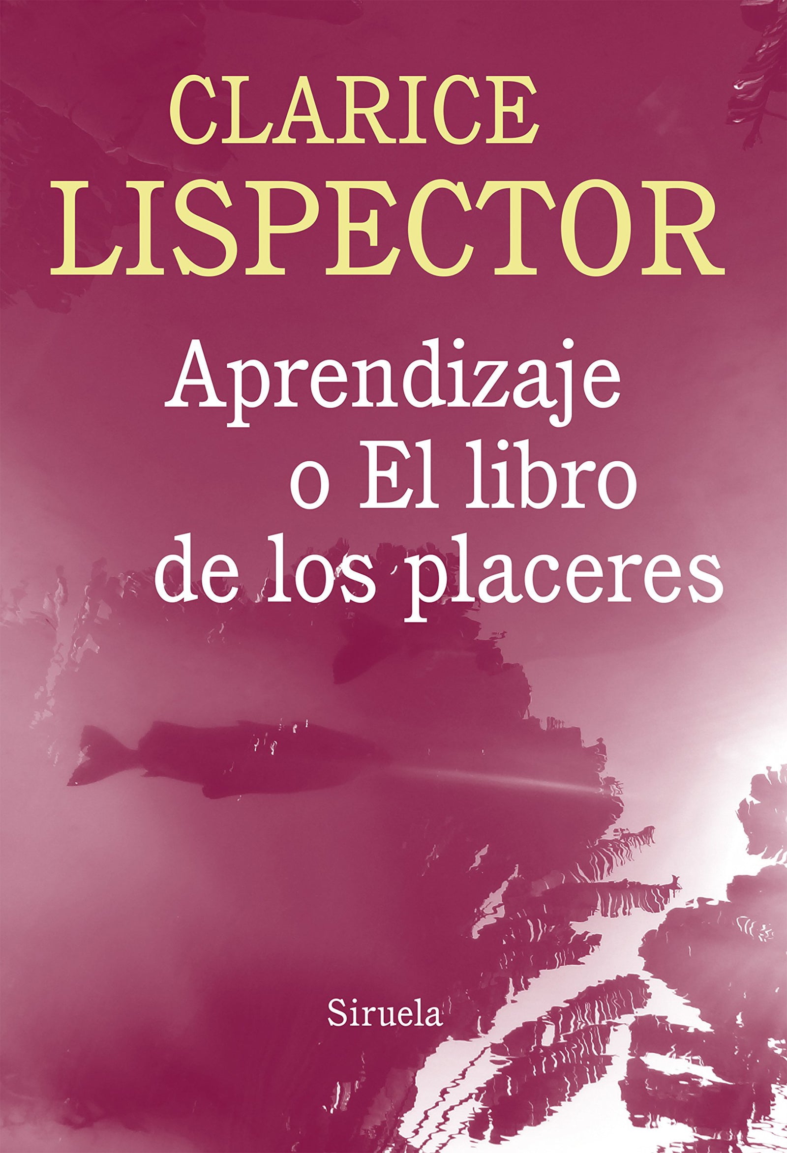Aprendizaje o el libro de los placeres: 6 (Biblioteca Clarice Lispector)