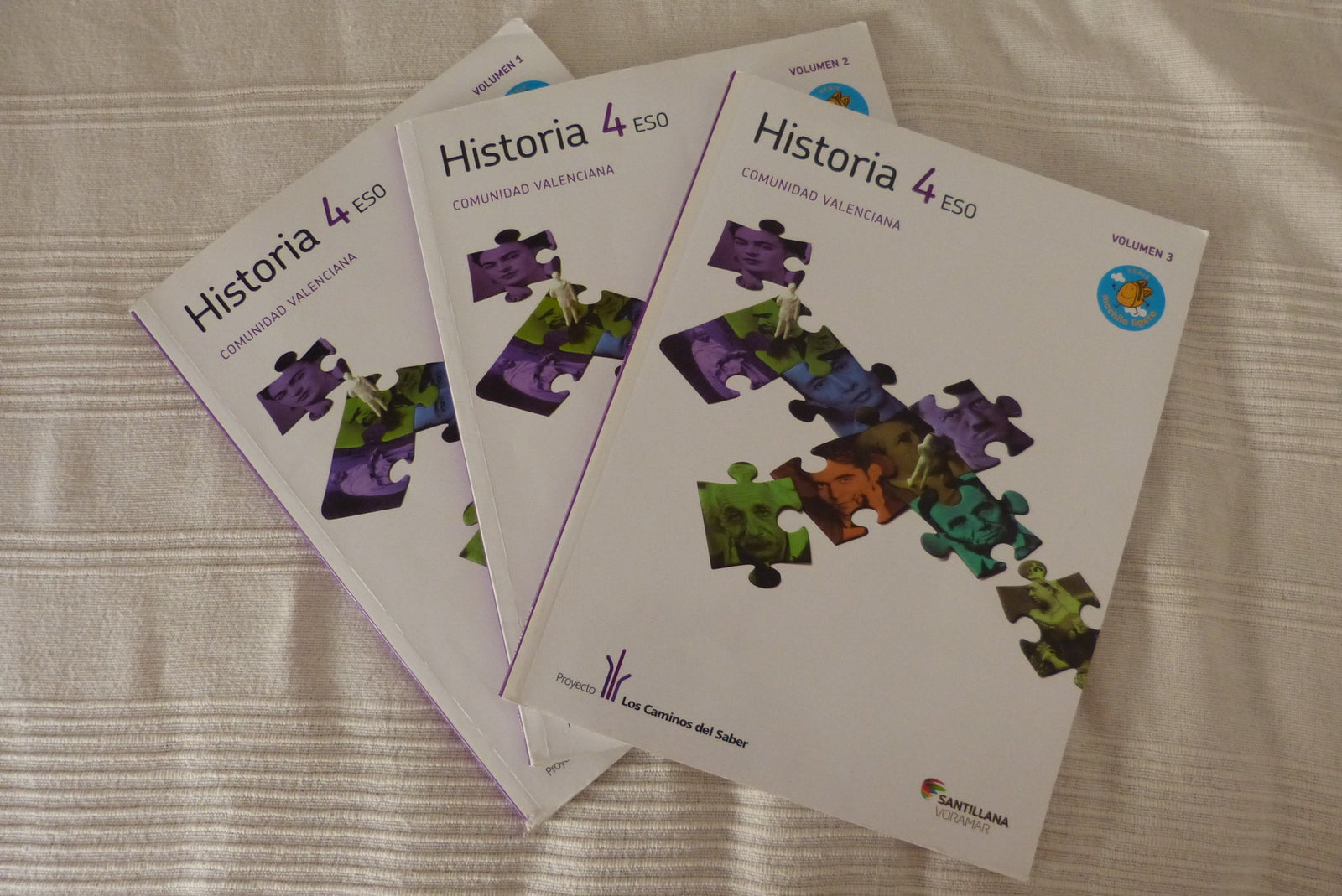 HISTORIA MADRID 4 ESO M LIGERA LOS CAMINOS DEL SABER: Historia 4 ESO (Madrid)