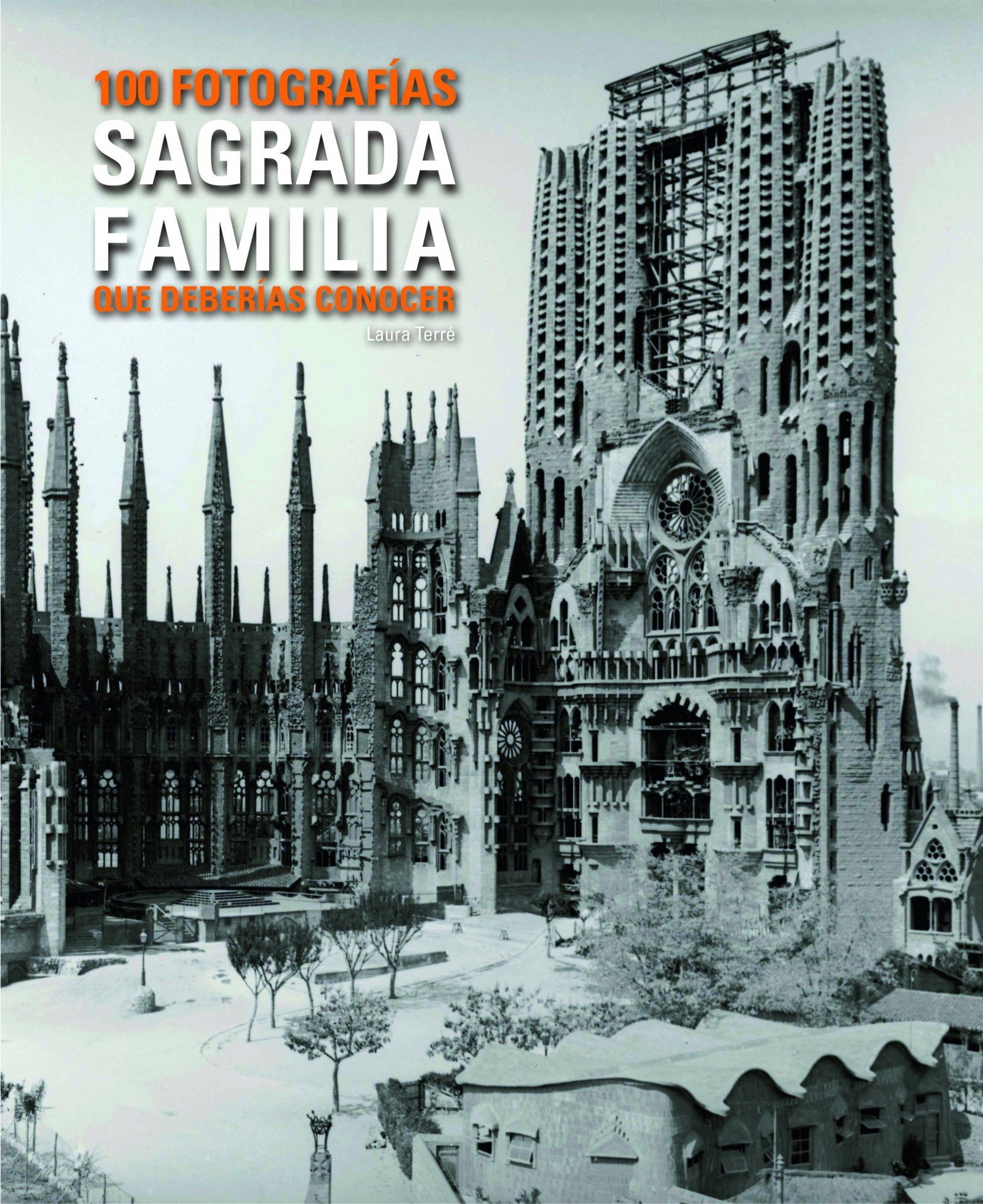 Sagrada Familia. 100 fotos que has de conèixer. (Lunwerg 100 Fotografías)