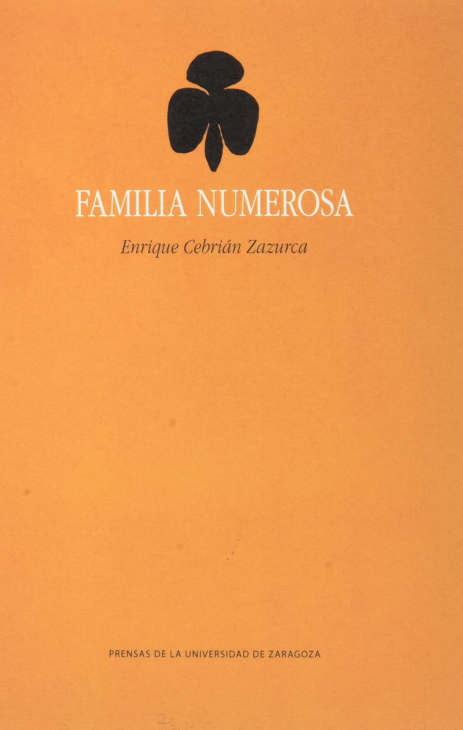 Familia numerosa: 119 (La Gruta de las Palabras)