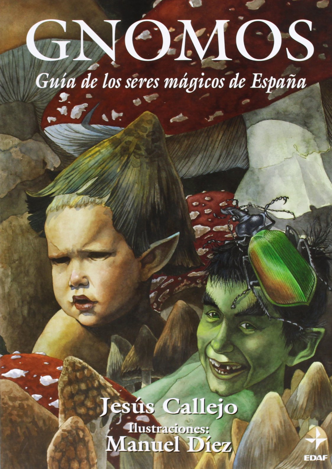Gnomos: Guía de los seres mágicos de España: 3 (Mundo mágico y heterodoxo)