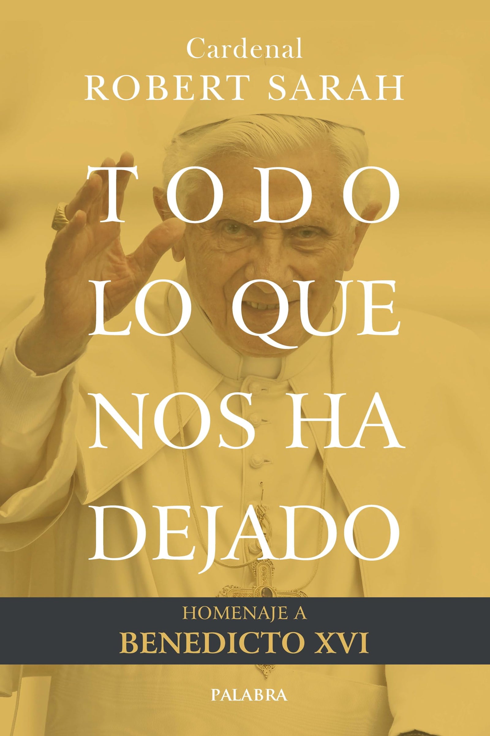 Todo lo que nos ha dejado. Homenaje a Benedicto XVI (Mundo y cristianismo)