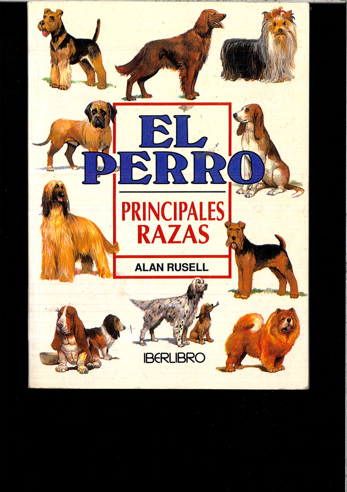 Perro, el - principales razas (Minilibro)