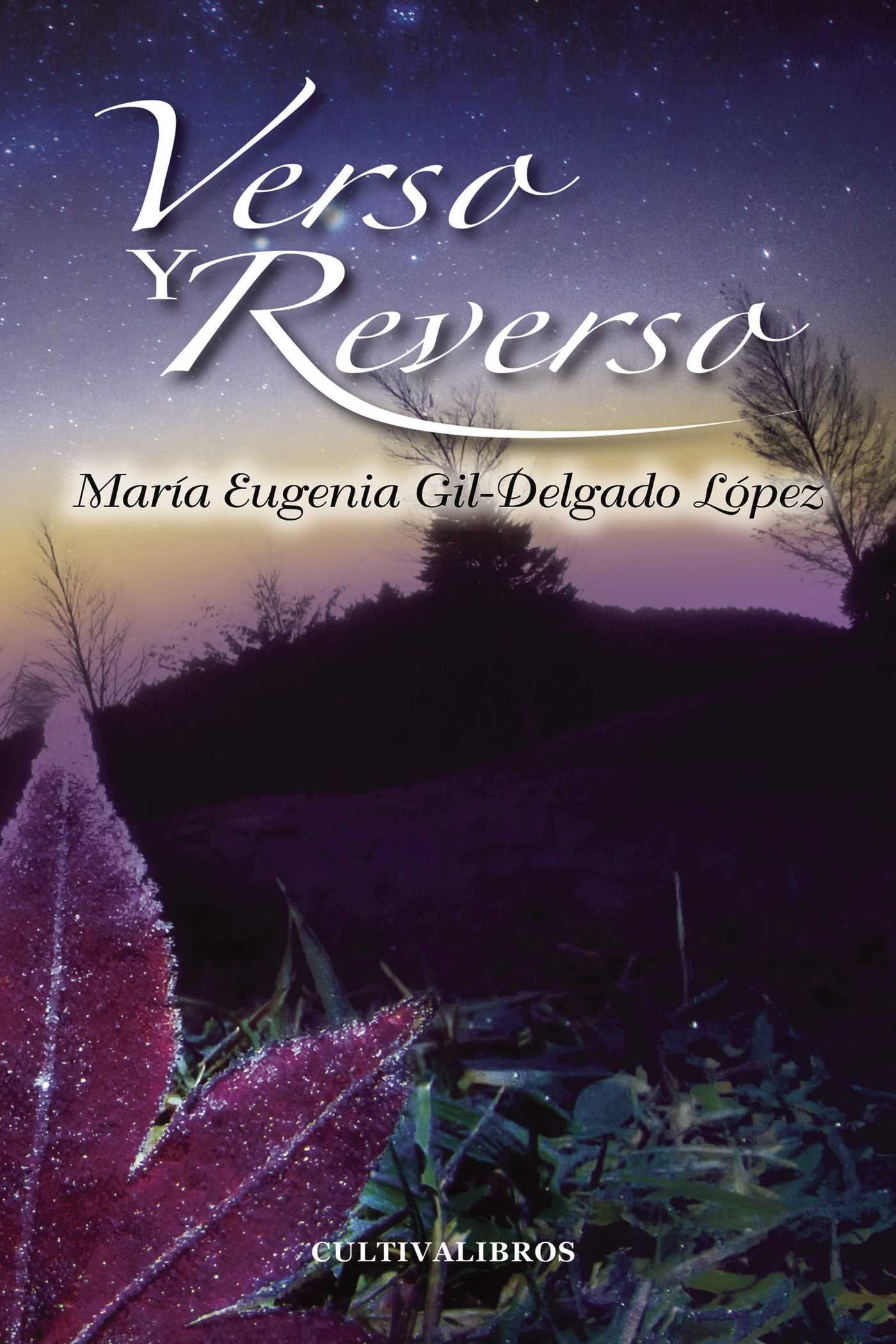 Verso y reverso (Básica)