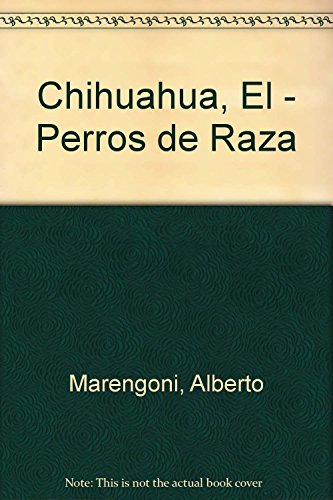 Chihuahua perros de raza
