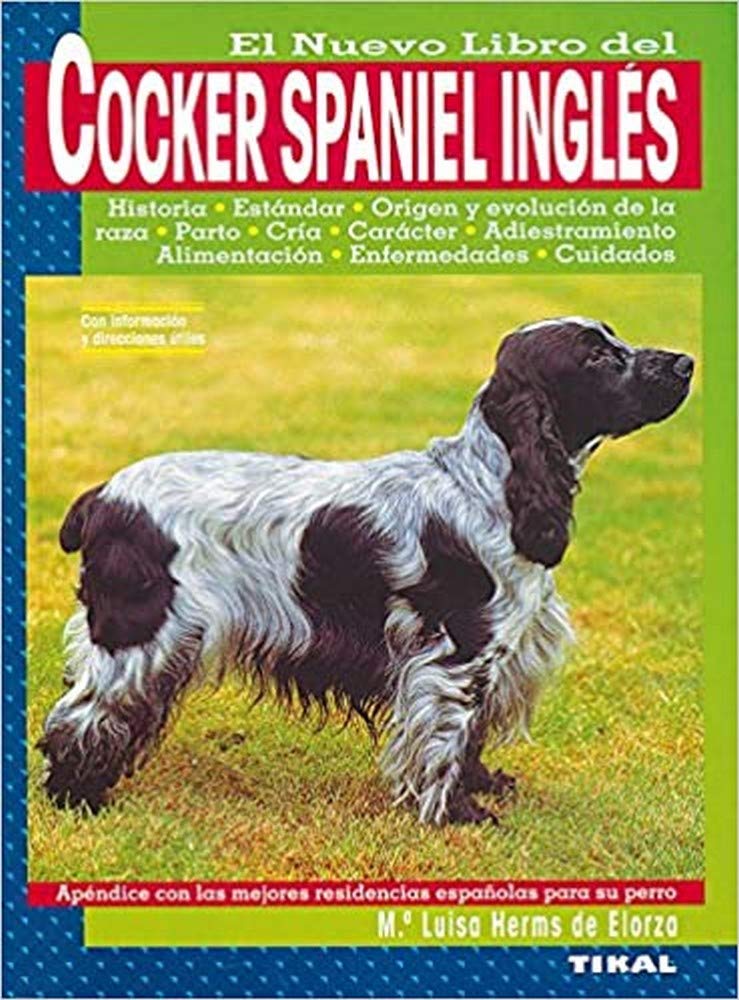 Cocker Spaniel Ingles