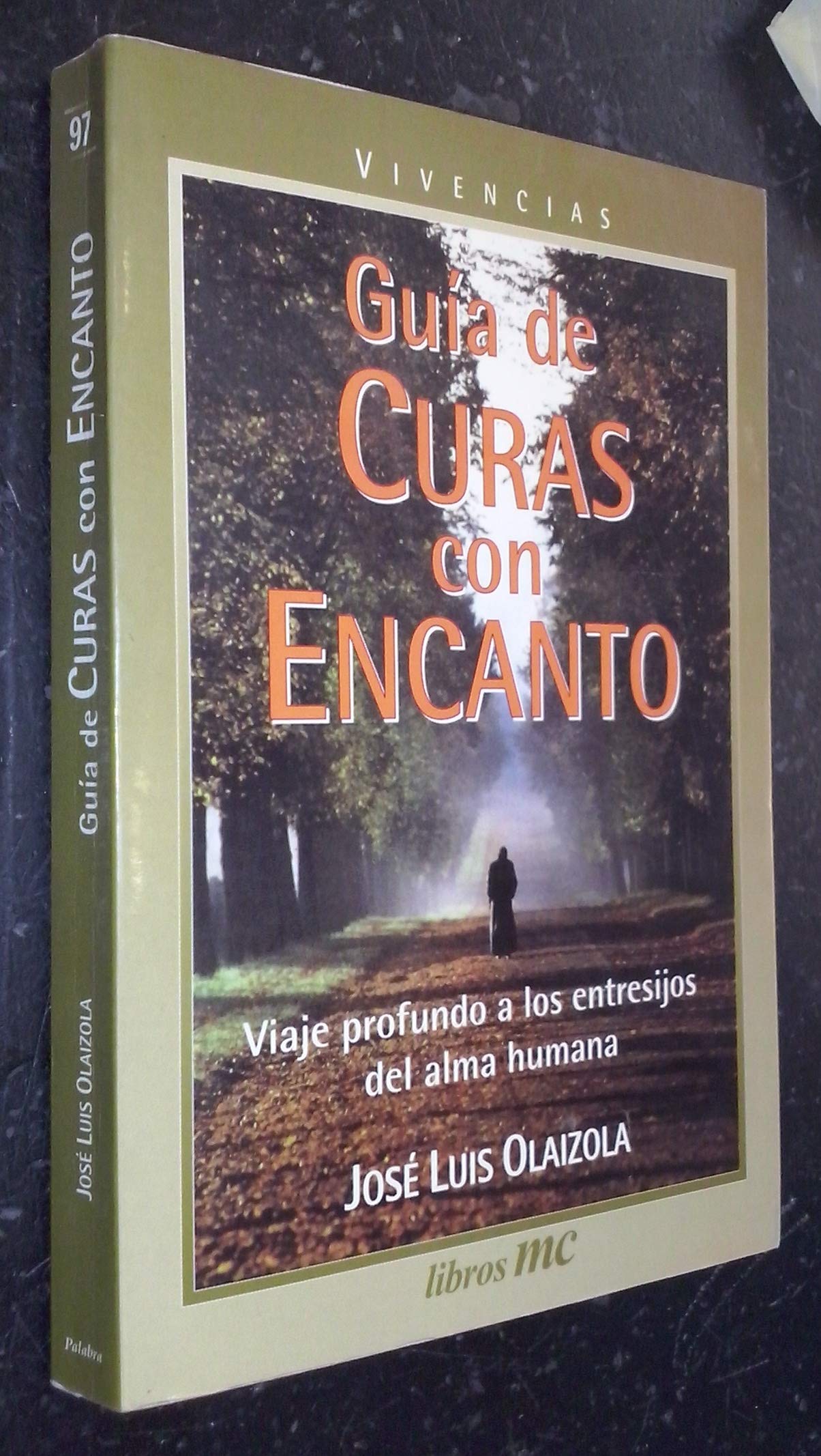 Guía de curas con encanto: Viaje profundo a los entresijos del alma humana (Libros MC)