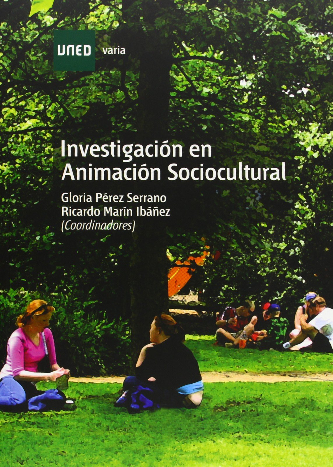 Investigación en la animación socio-cultural (VARIA)