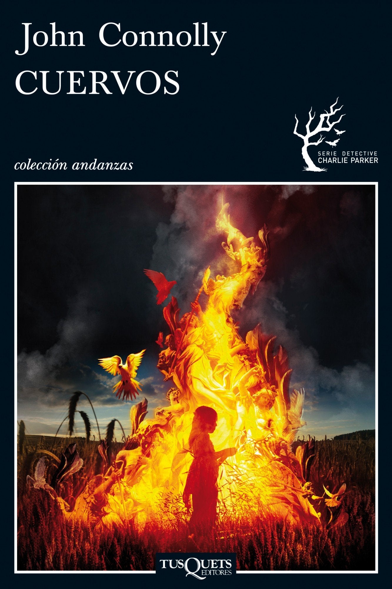 Cuervos: 11 (Andanzas)