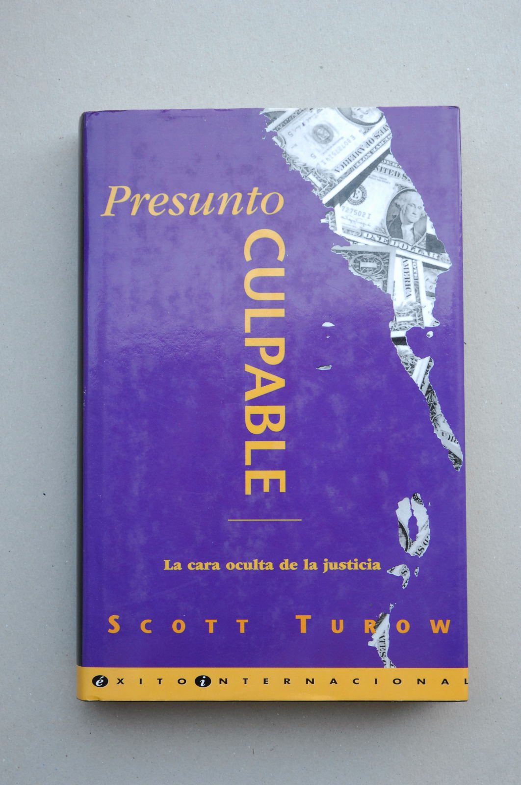 Presunto culpable