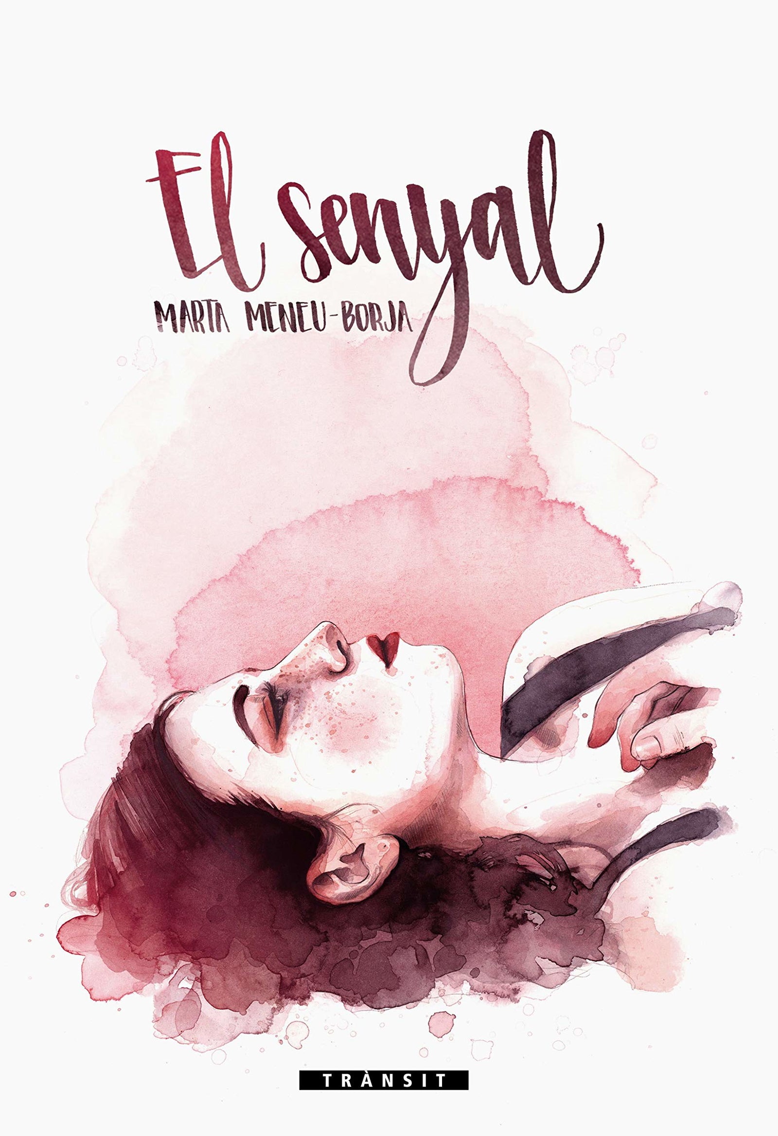 El senyal: 17 (Trànsit)