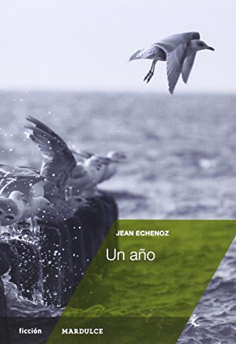 Un Año (Ficción)