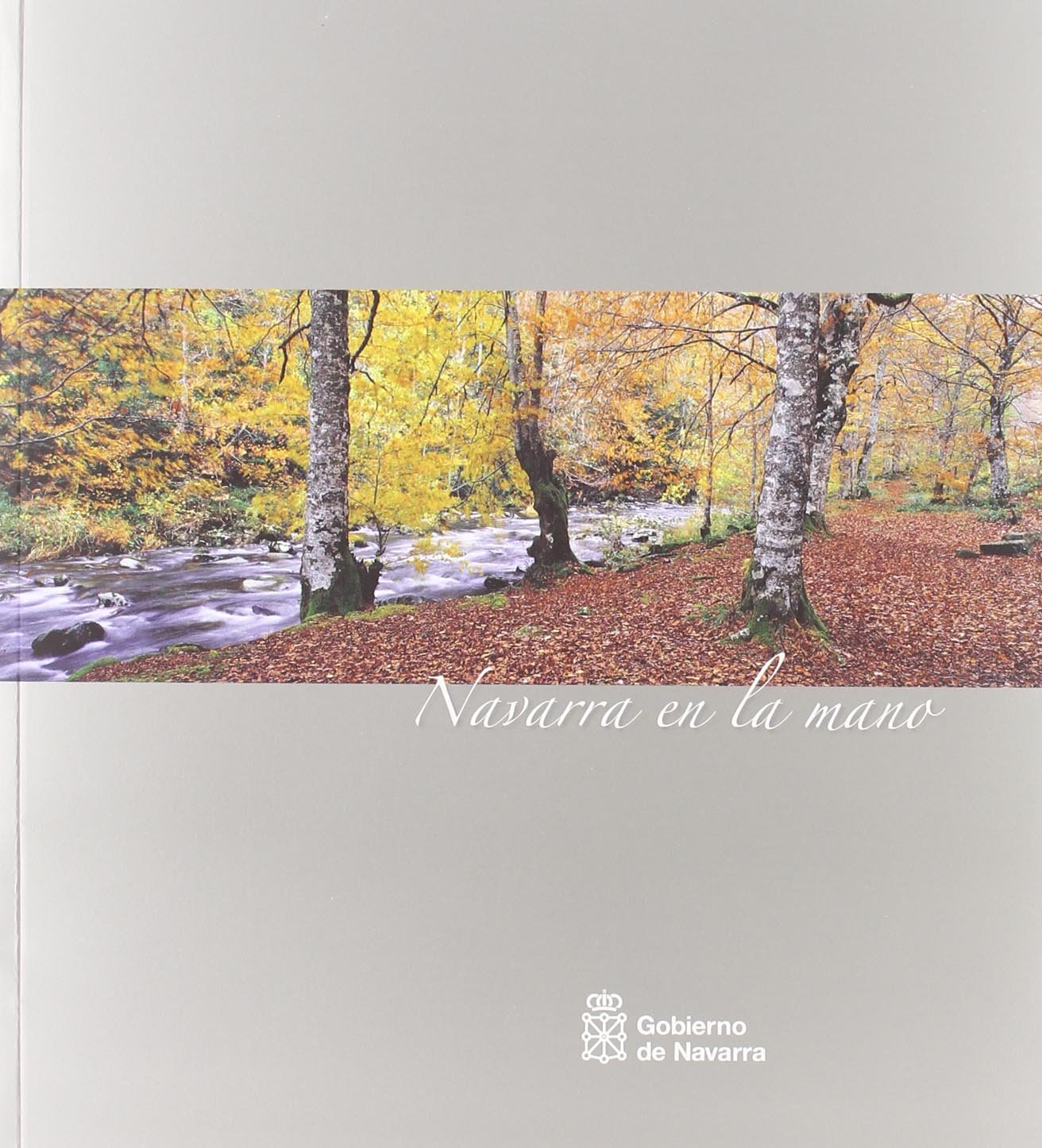 Navarra en la mano (SIN COLECCION)