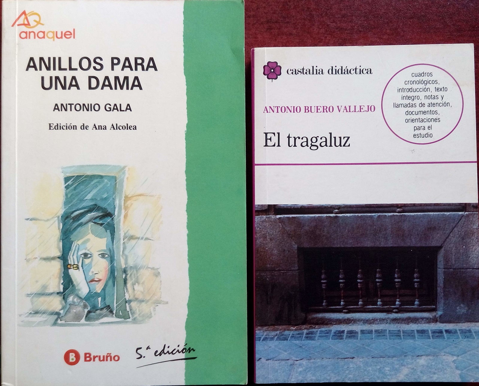 El tragaluz . (CASTALIA DIDACTICA. C/D.)