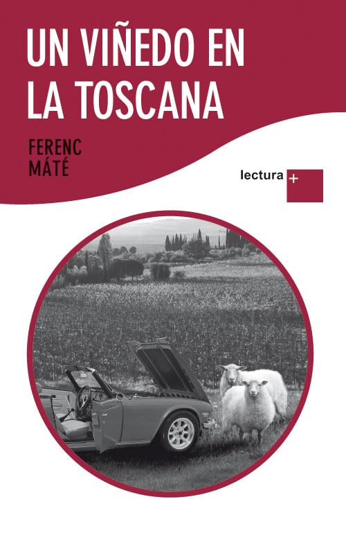 Un viñedo en la Toscana (Lectura +)