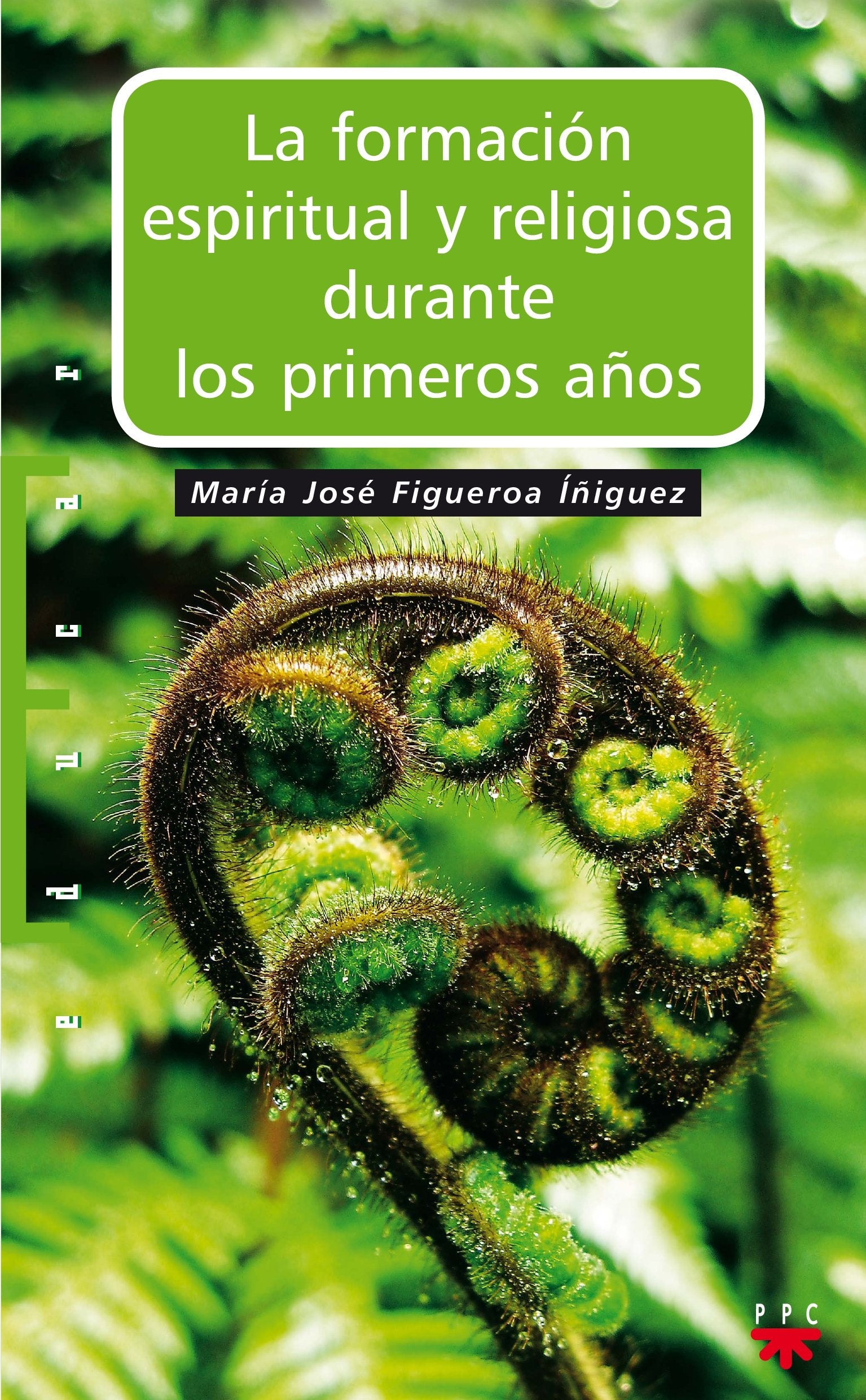 La Formación Espiritual Y Religiosa Durante Los Primeros Años: La importancia del desarrollo y el aprendizaje en Educación Infantil: 100 (Educar)