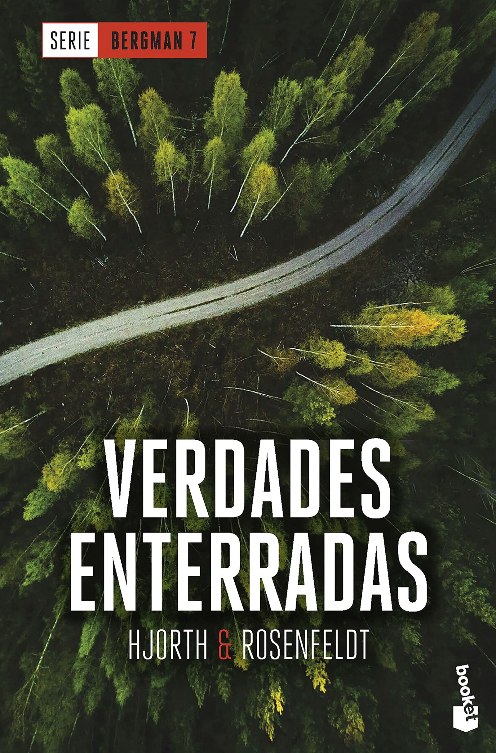 Verdades enterradas (Serie Bergman, 7): Serie Bergman, 7 (Crimen y misterio)