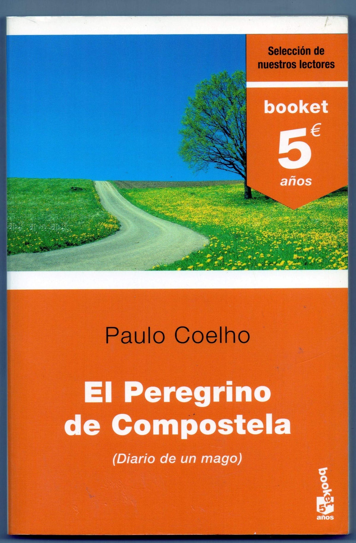 Peregrino De Compostela, El