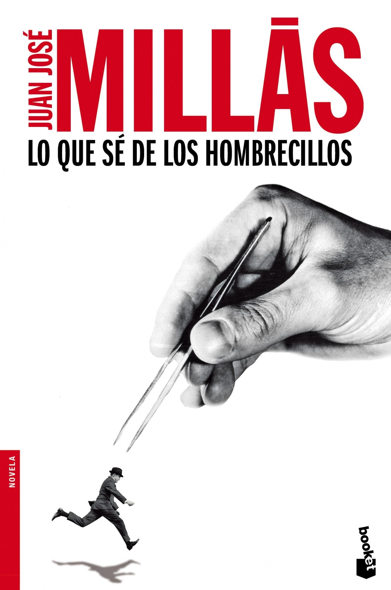Lo que sé de los hombrecillos (Novela)
