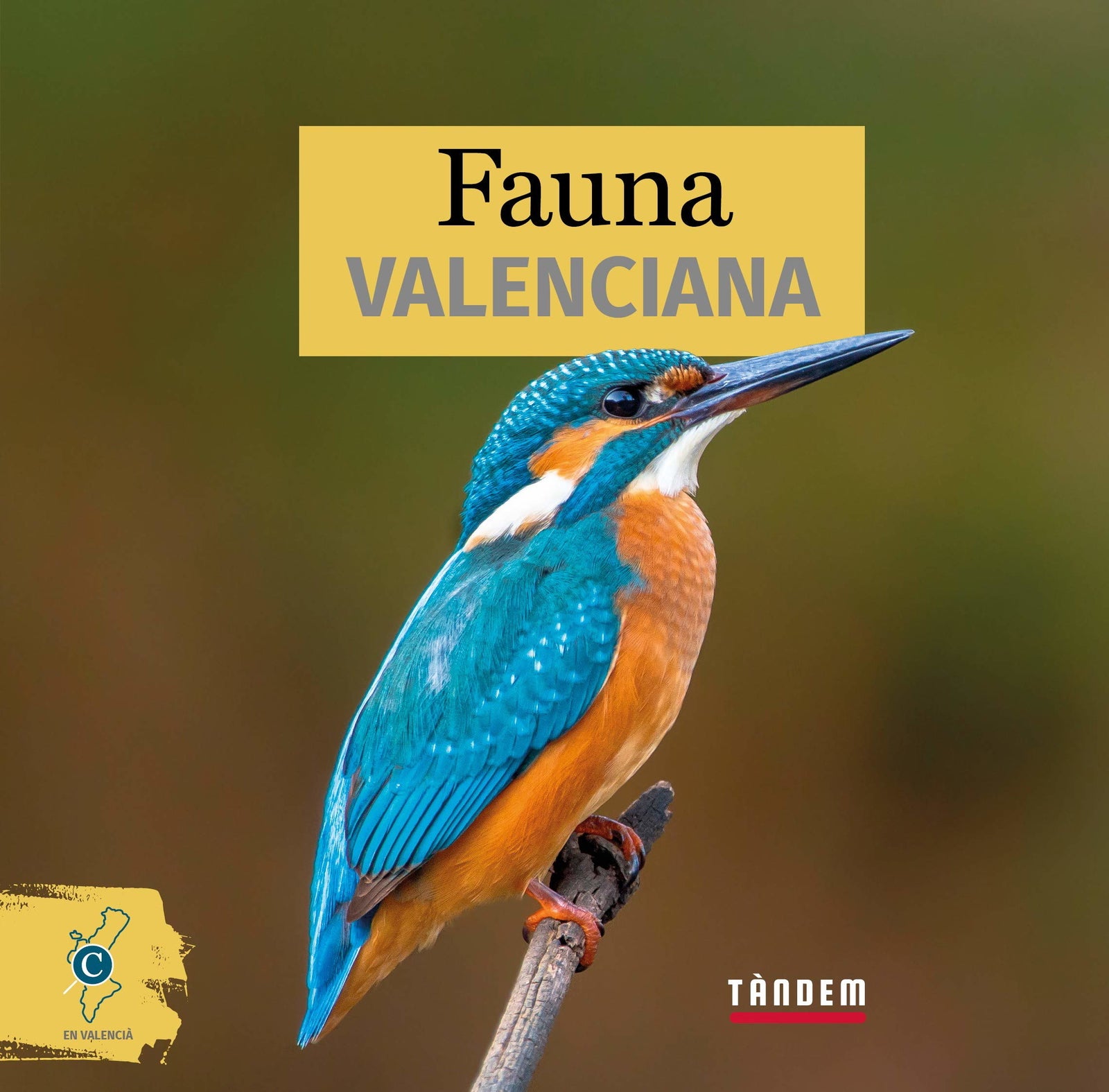 Fauna Valenciana (cat): 1 (Conéixer-nos)