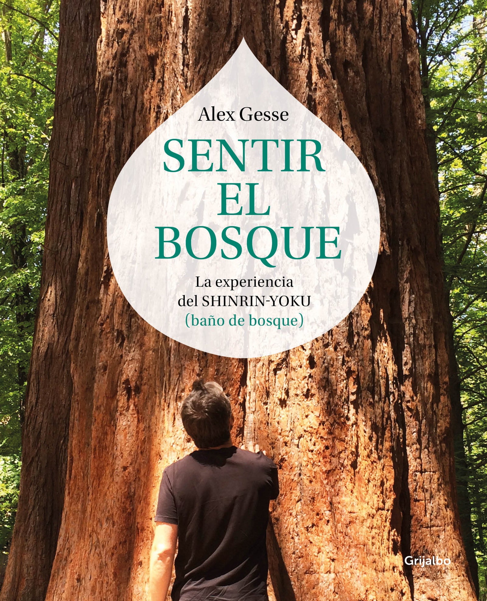 Sentir el bosque: La experiencia del shinrin-yoku (baño de bosque) (Crecimiento personal)