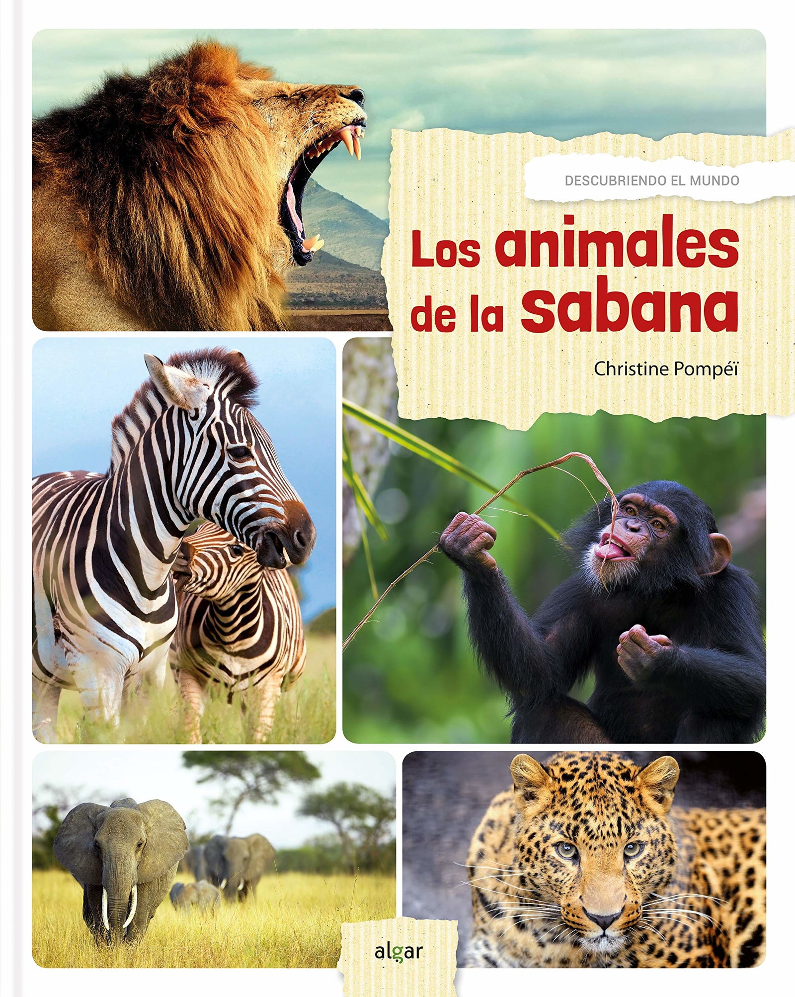Los animales de la sabana: 72 (Álbumes ilustrados)