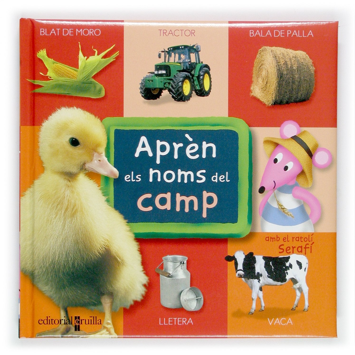 Aprèn els noms del camp amb el ratolí Serafí: 0