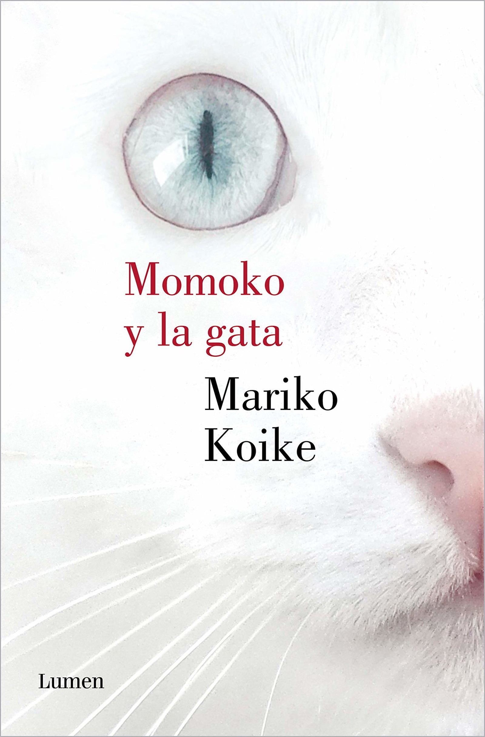 Momoko y la gata (Narrativa)