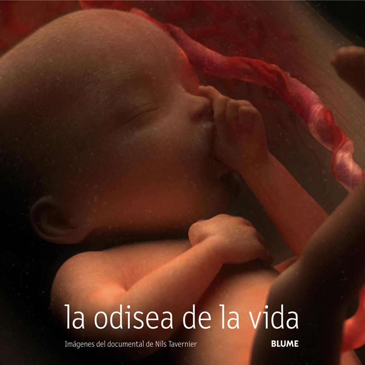 Odisea de la vida (LIBROS PRACTICOS)