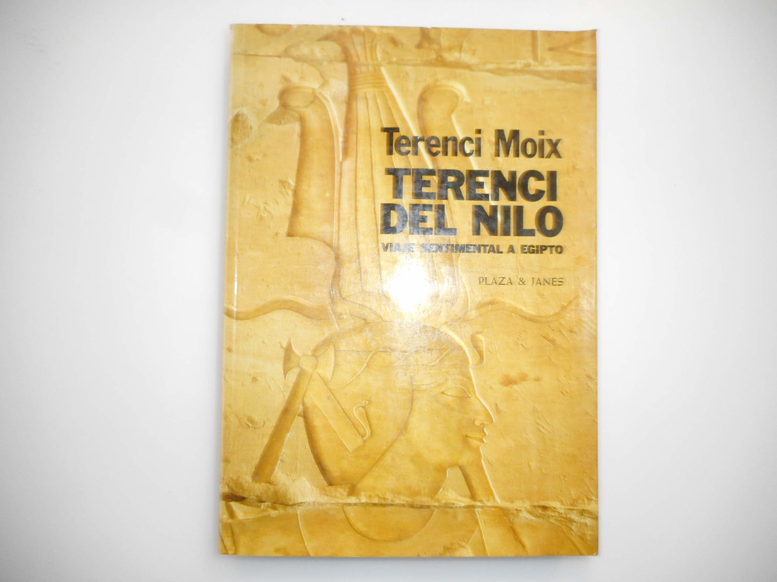 TERENCI DEL NILO. VIAJE SENTIMENTAL A EGIPTO.