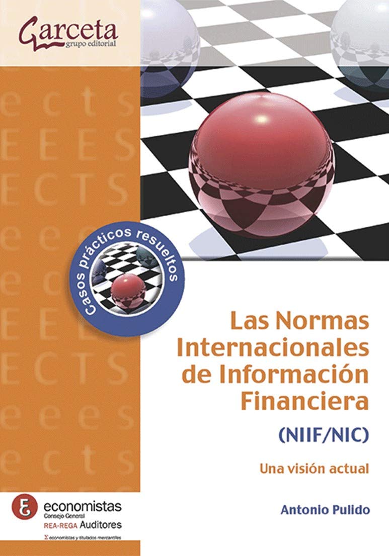 Las Normas Internacionales de Información Financiera (NIIF/NIC). Una visión actual (SIN COLECCION)