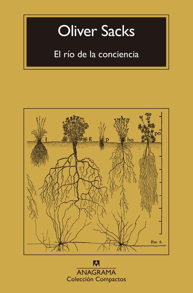 El río de la conciencia (Compactos)
